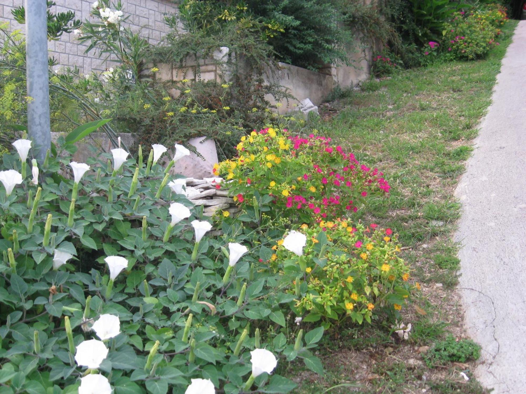 Apartments Silmare Rabac Quarto foto